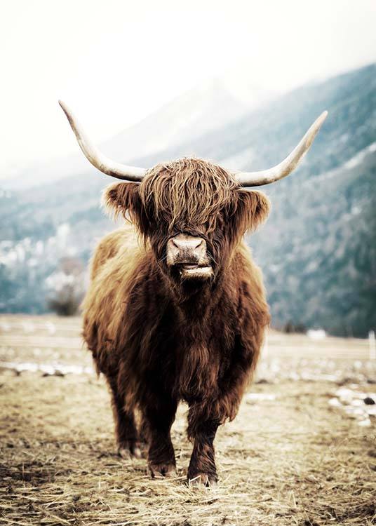  – Photograph of a brown highland cow on a field in front of a mountain landscape
