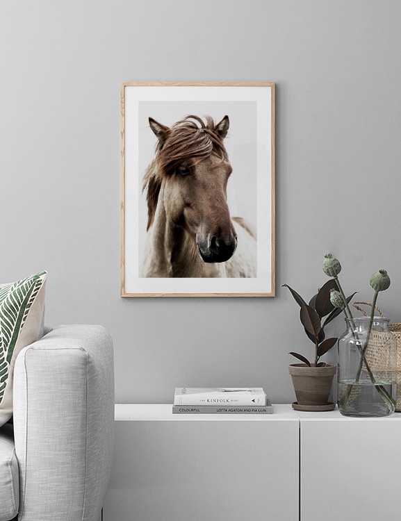 Brown Horse Poster