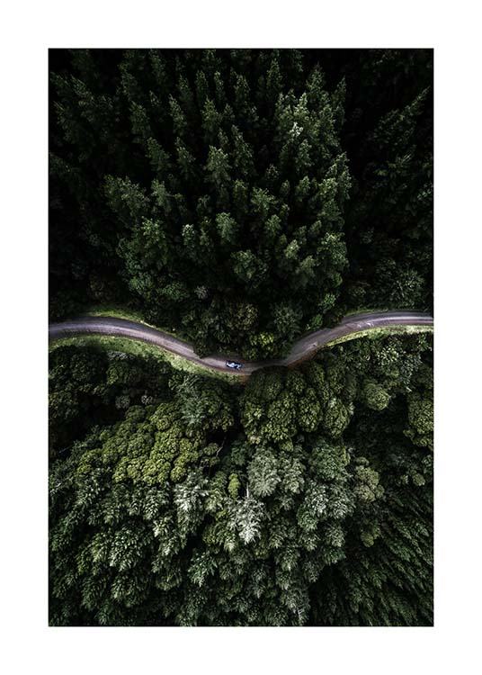 Forest Road Poster / Nature prints at Desenio AB (3575)