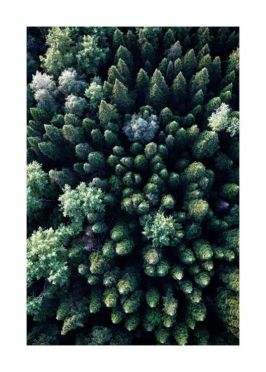 Forest Aerial Poster / Nature prints at Desenio AB (3576)