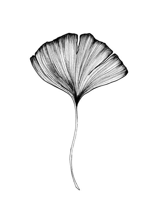 Ginkgo Leaf Poster / Black & white at Desenio AB (3599)