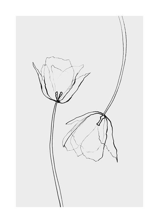 Line Tulips Poster / Black & white at Desenio AB (3601)
