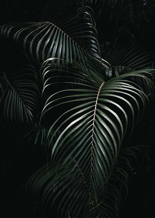 Dark Green Palm Leaves No1 Poster / Photographs at Desenio AB (3772)