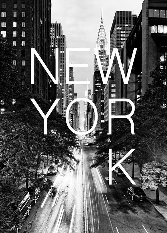 New York B&W Poster / Black & white at Desenio AB (3851)