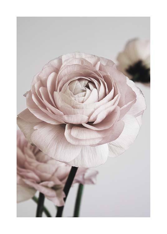 Pink Flower Dream No1 Poster