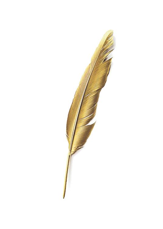 Gold Feather, Poster / Text posters at Desenio AB (7605)