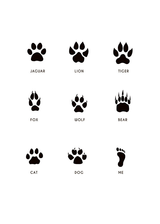 Footprints Posters / Animals at Desenio AB (7776)