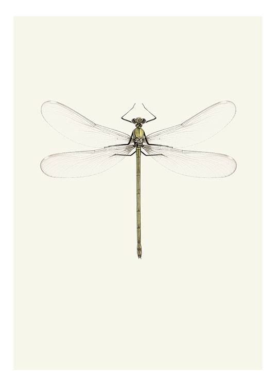 Vintage Dragonfly, Poster  / Retro & vintage at Desenio AB (7947)