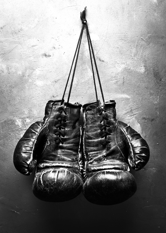 Boxer, Poster / Black & white at Desenio AB (8107)
