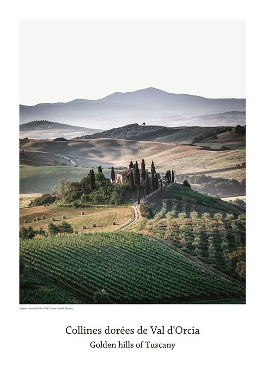 Italy, Poster / Nature prints at Desenio AB (8149)