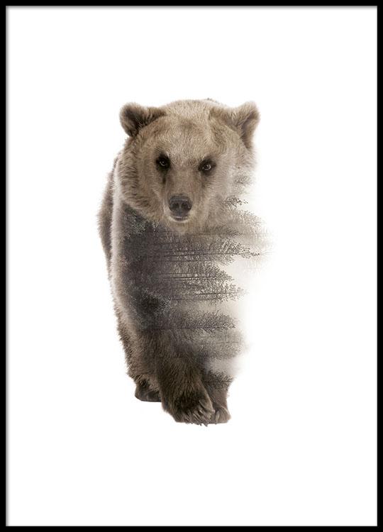 Animal posters and prints for nordic decor  Photo art of 