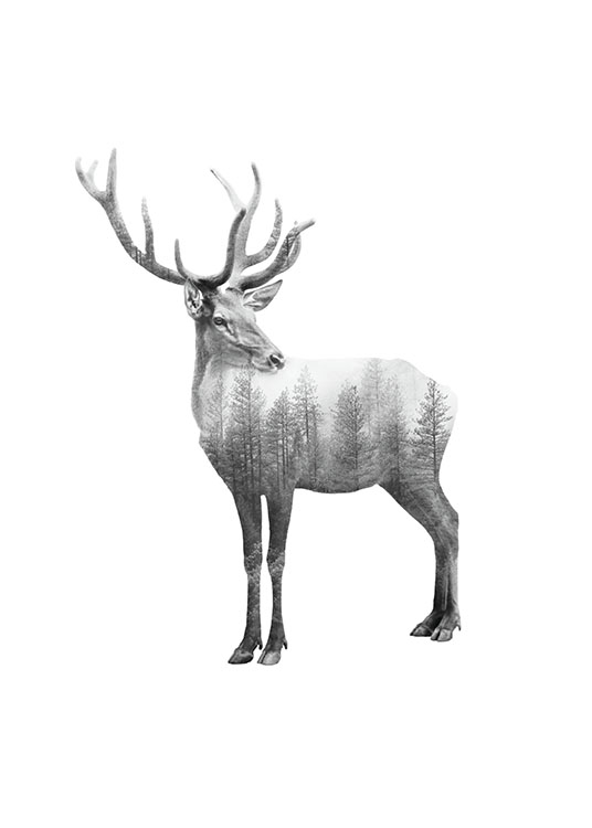 Forest Deer B&W, Poster / Animals at Desenio AB (8160)
