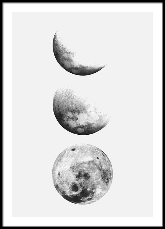 posters-of-the-moon-buy-prints-online-for-a-good-price