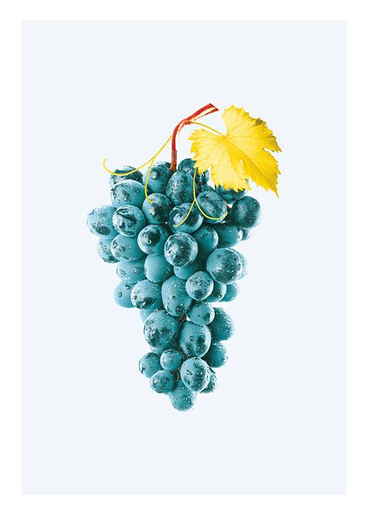 Blue Grapes, Poster / Art prints at Desenio AB (8209)