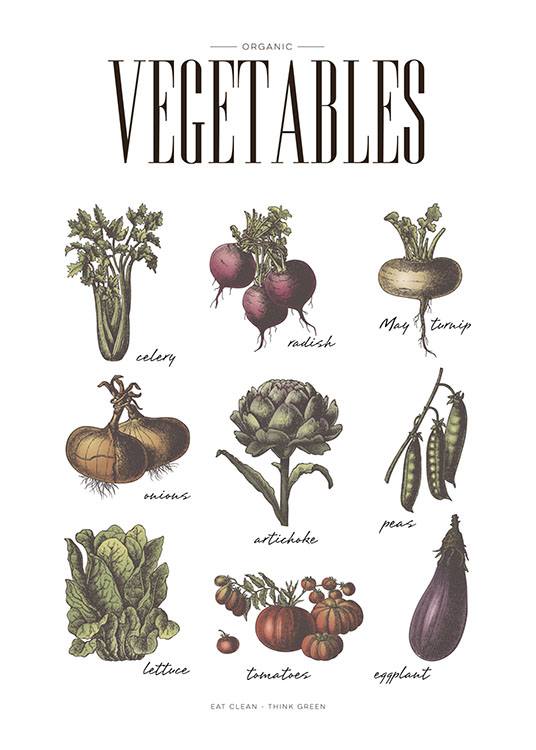 Vegetables, Poster / Kitchen at Desenio AB (8229)