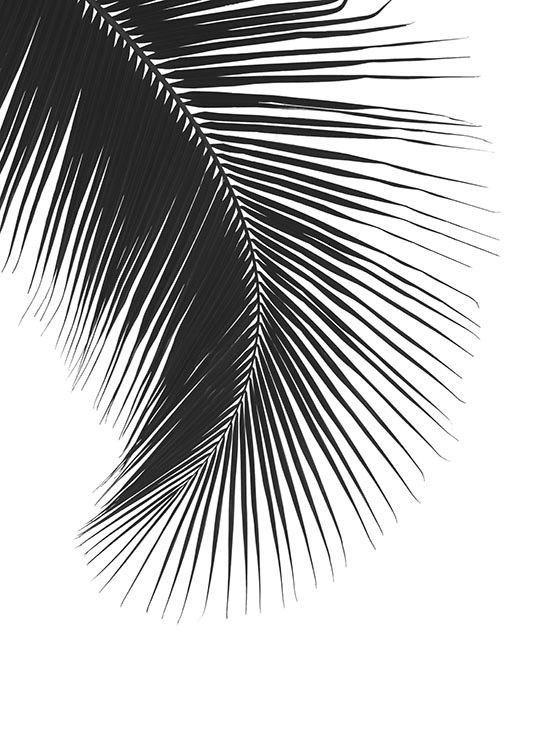 Black Palm Leaf, Poster / Black & white at Desenio AB (8242)