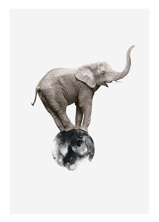 Elephant On Circle, Poster