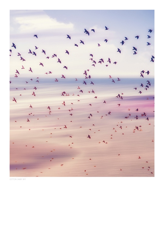 Cotton Candy Sky, Poster / Nature prints at Desenio AB (8397)