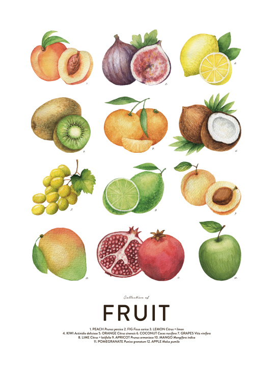 Fruit, Posters / Kitchen at Desenio AB (8590)