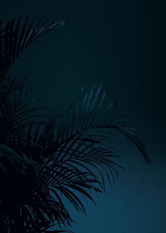 Black Palm, Poster / Photographs at Desenio AB (8618)