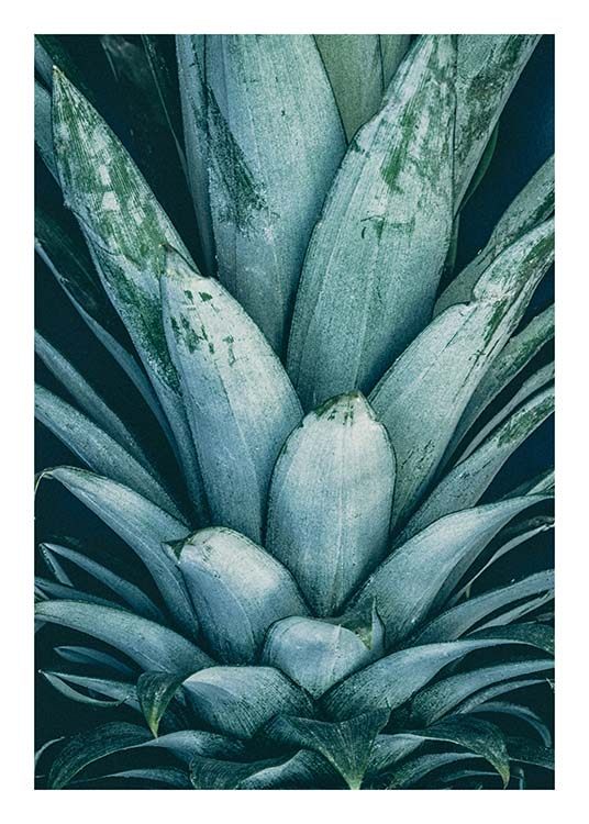 Pineapple Crown Poster / Kitchen at Desenio AB (8811)