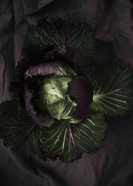 Cabbage Poster / Photographs at Desenio AB (8847)