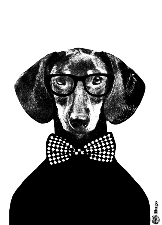 Lisa Bengtsson Hugo, Poster