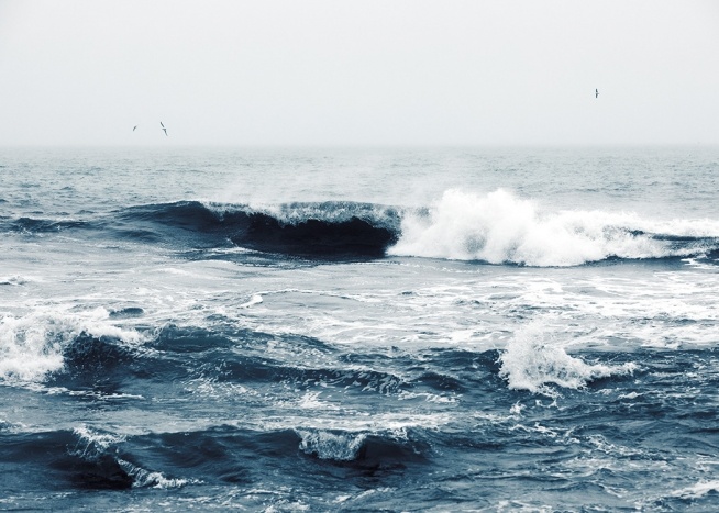  - Photograph of a stormy ocean with large waves and birds in the background