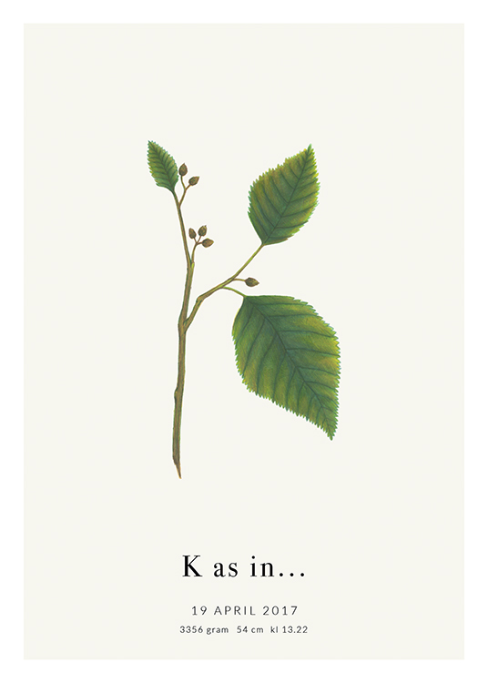  – The letter K formed by leaves on a branch, with text at the bottom
