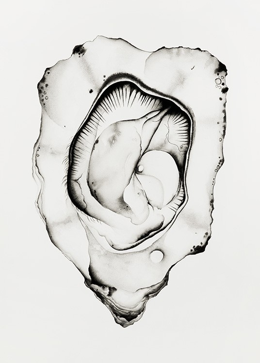  - Watercolour painting in black and white of an oyster with a detailed centre