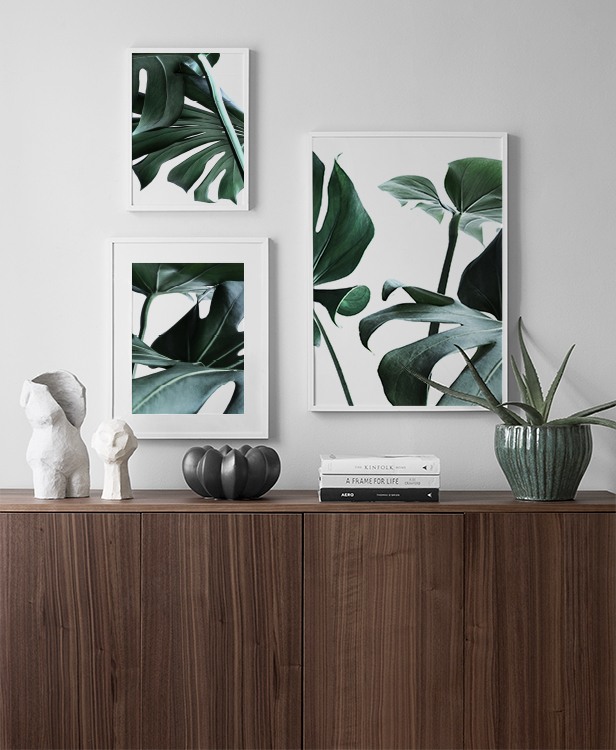 Botanical décor inspiration with cheese plant leaves