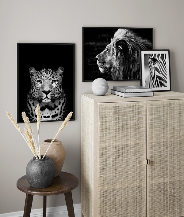 Black-and-white animal posters, inspiration safari posters