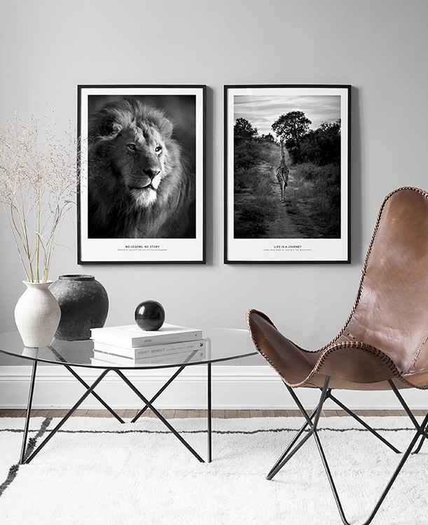 Stylish black-and-white wildlife poster pairs