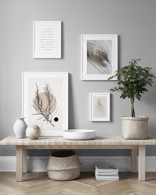Dried plants