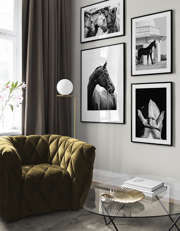 Black-and-white horses