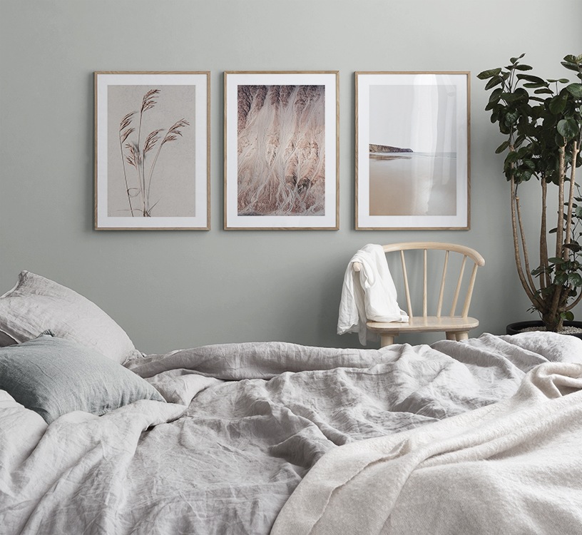 Beige nature photographs