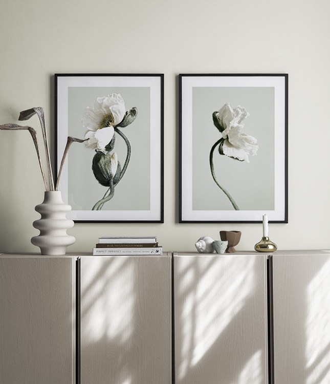 Pair of poppies